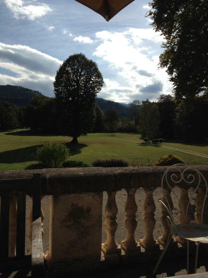 Chateau Du Val Larbont La Bastide-de-Sérou Exteriör bild